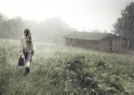 สายฝนกับคนเหงา