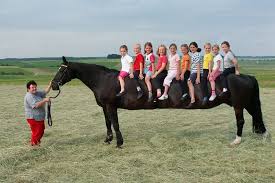 أطول وأضخم وأكبر حصان في العالم!!! Images?q=tbn:ANd9GcQz31SCacOtvudmqlvHf4H07btJ5BN3uM0Cx7zRAZ-FRSaCqQ2x_A