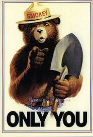 smokey the bear poster only you
