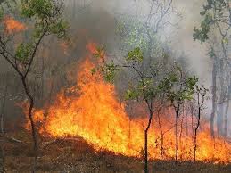 Πάργα:Φωτιά στο Μεσοπόταμο