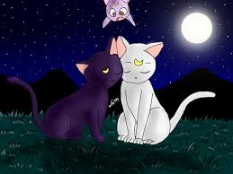 Picuter mèo Luna và artemis Images?q=tbn:ANd9GcTvZTBY0VVYU1oUZWE2jihn66mL__170I-5tzM7sjEMzViU7KitpQ
